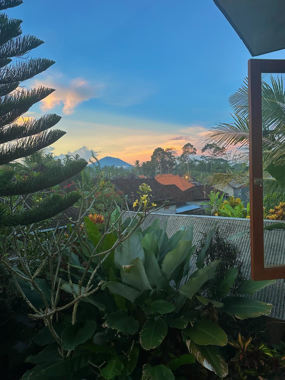 Апартаменты просторные Убуд