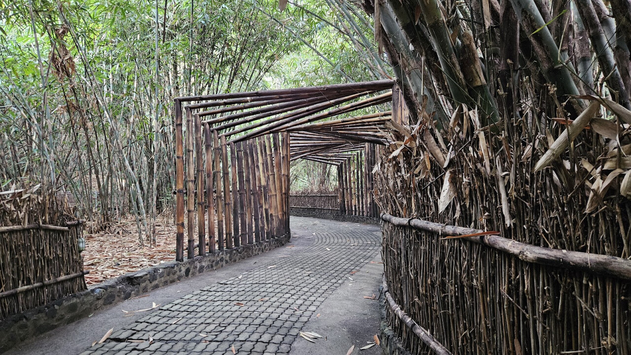 Bamboo Forest At Penglipuran Village