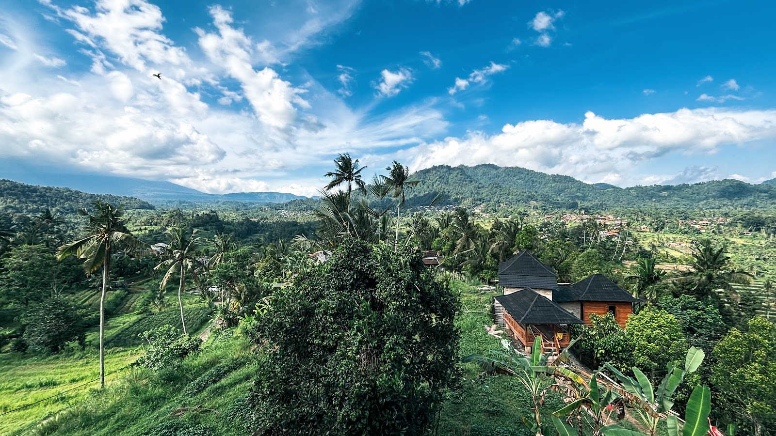 Warung Ume Anyar
