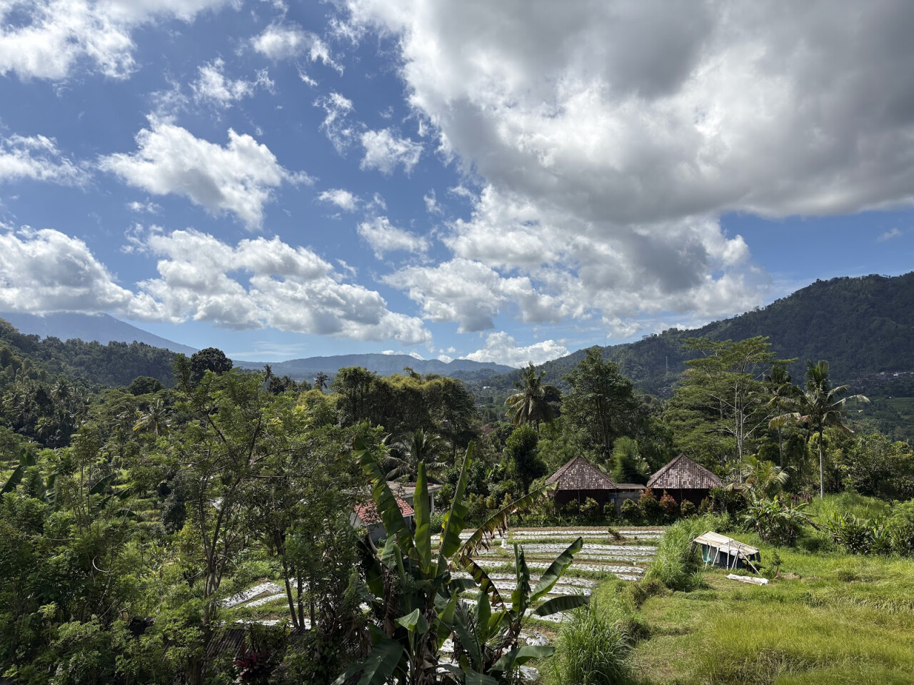 WARUNG NYOMAN
