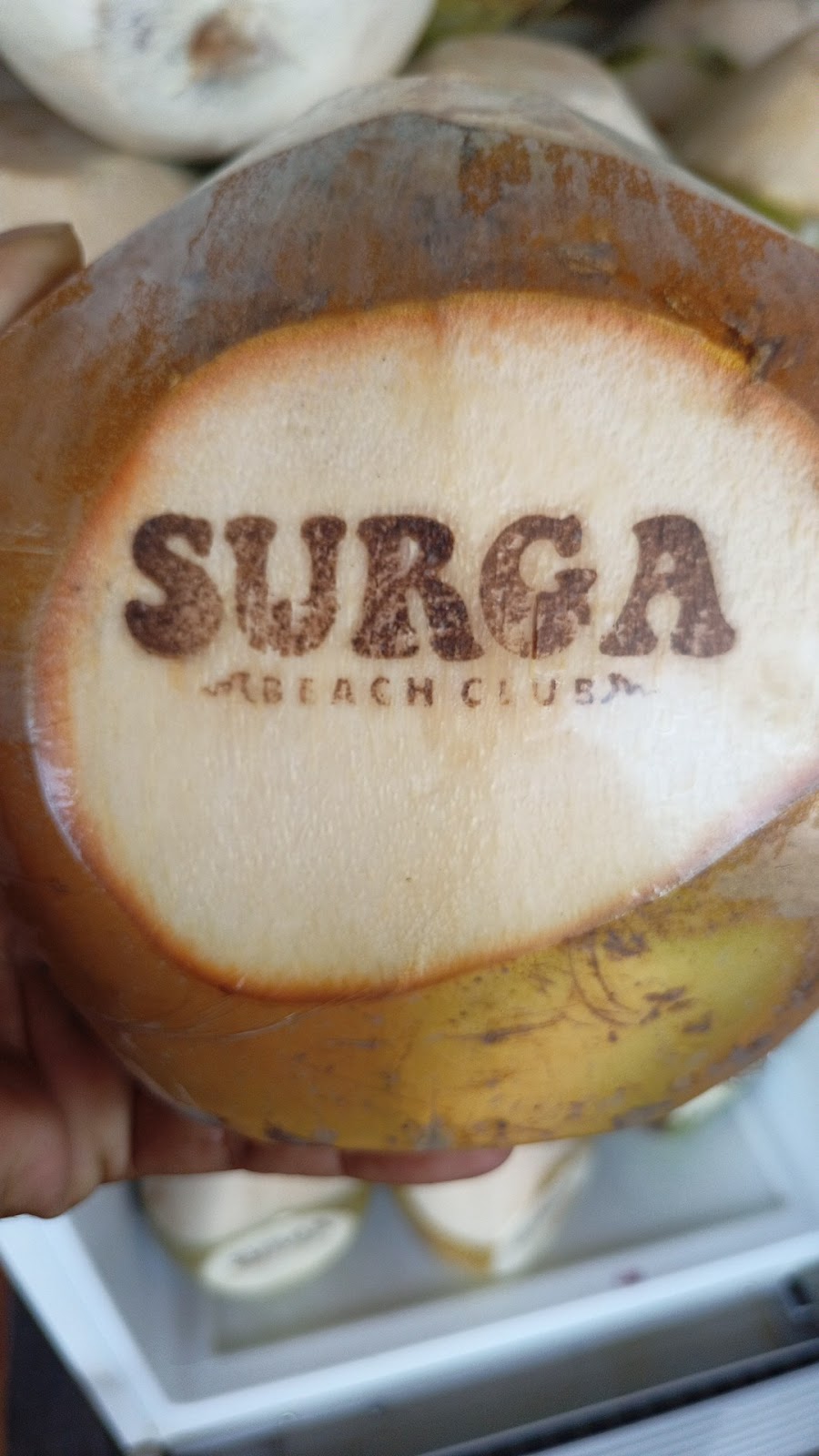 SURGA BEACHCLUB