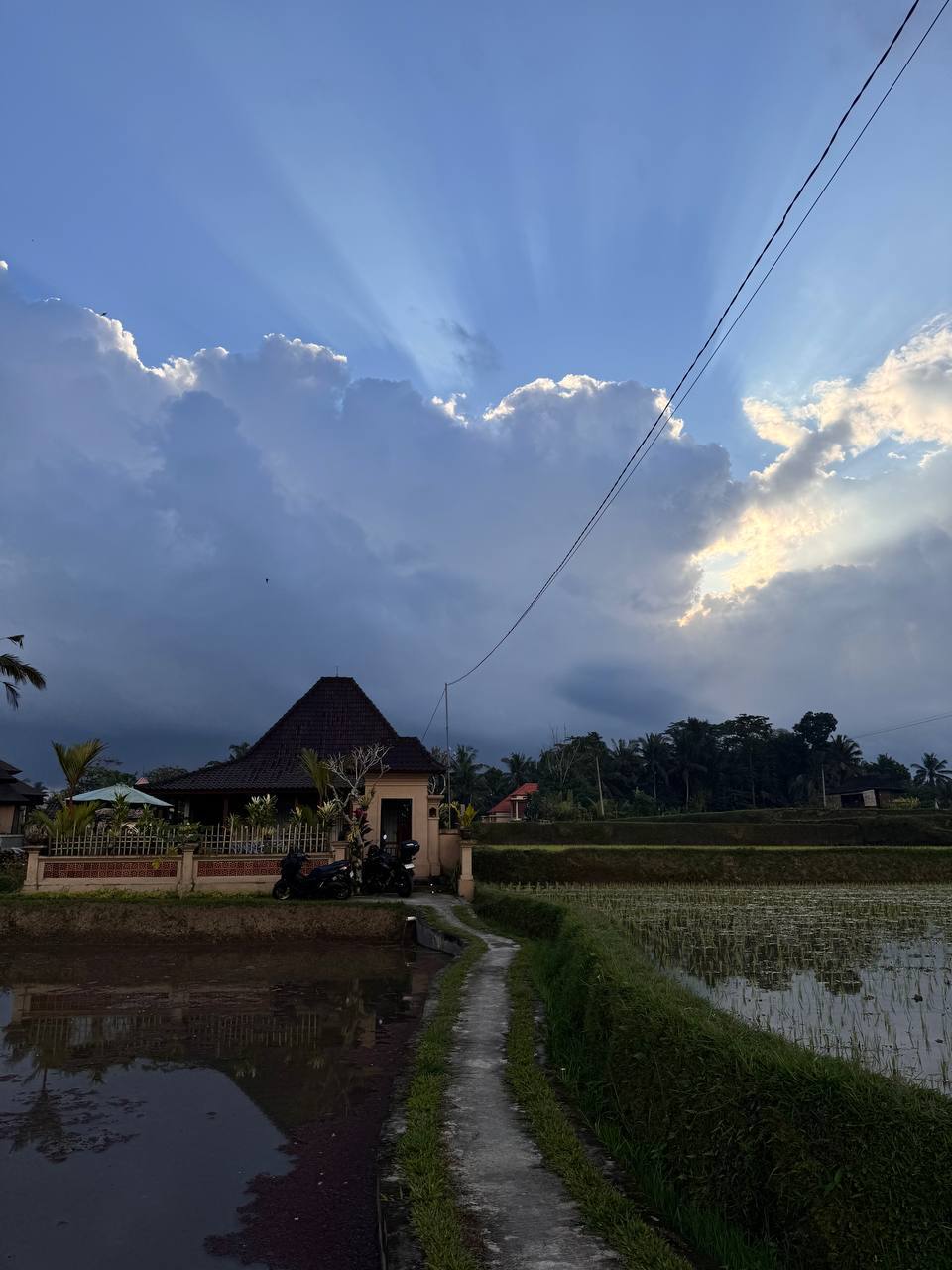 Вилла просторная Убуд 1 спальня