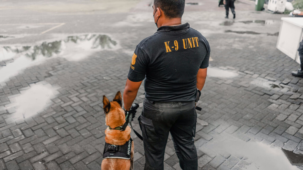 В Нуса-Дуа появились служебные собаки: на Бали усиливают безопасность главного курорта