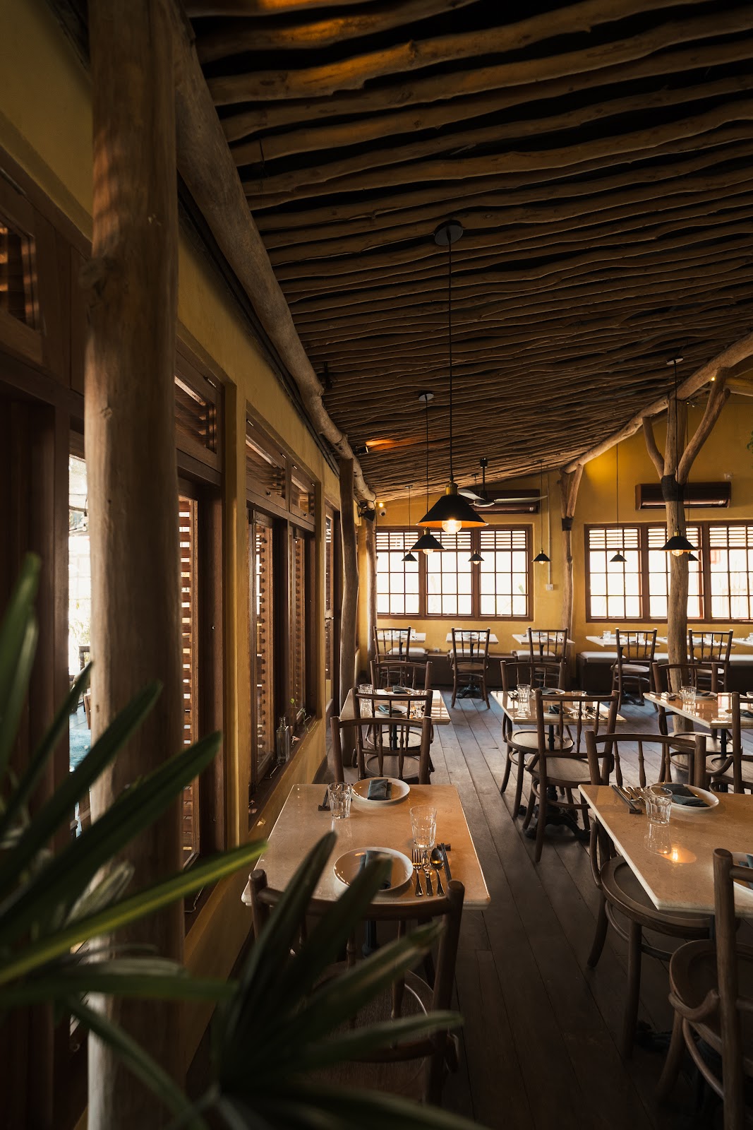 Thai Thai Kitchen & Bar