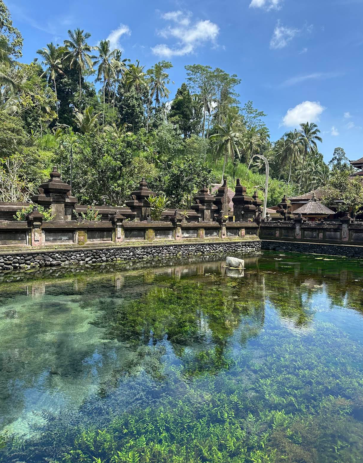 Бодибилдер және кеудеге арналған әйелдер