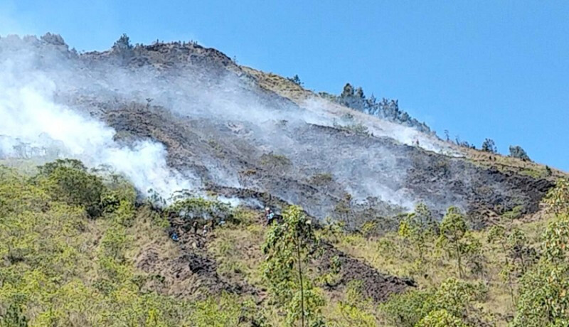 Пожар на склонах Батура уничтожил почти 10 гектаров леса