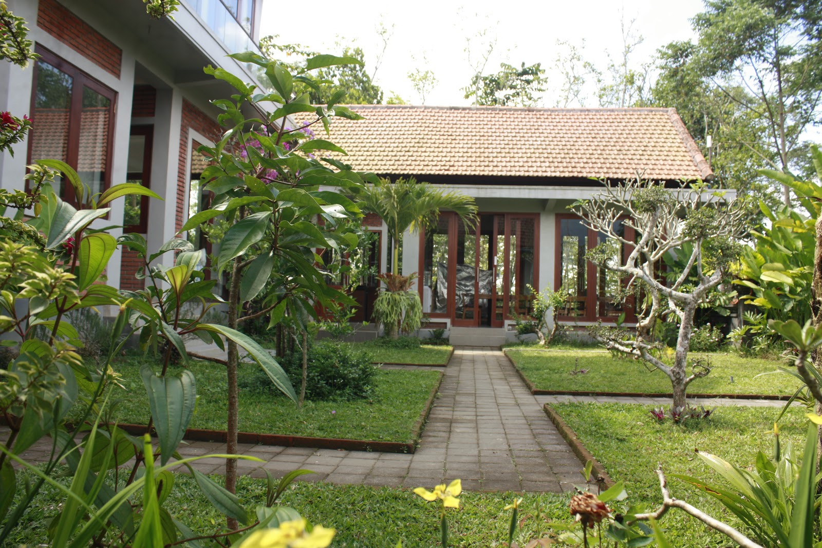 Bali Beans Plantation