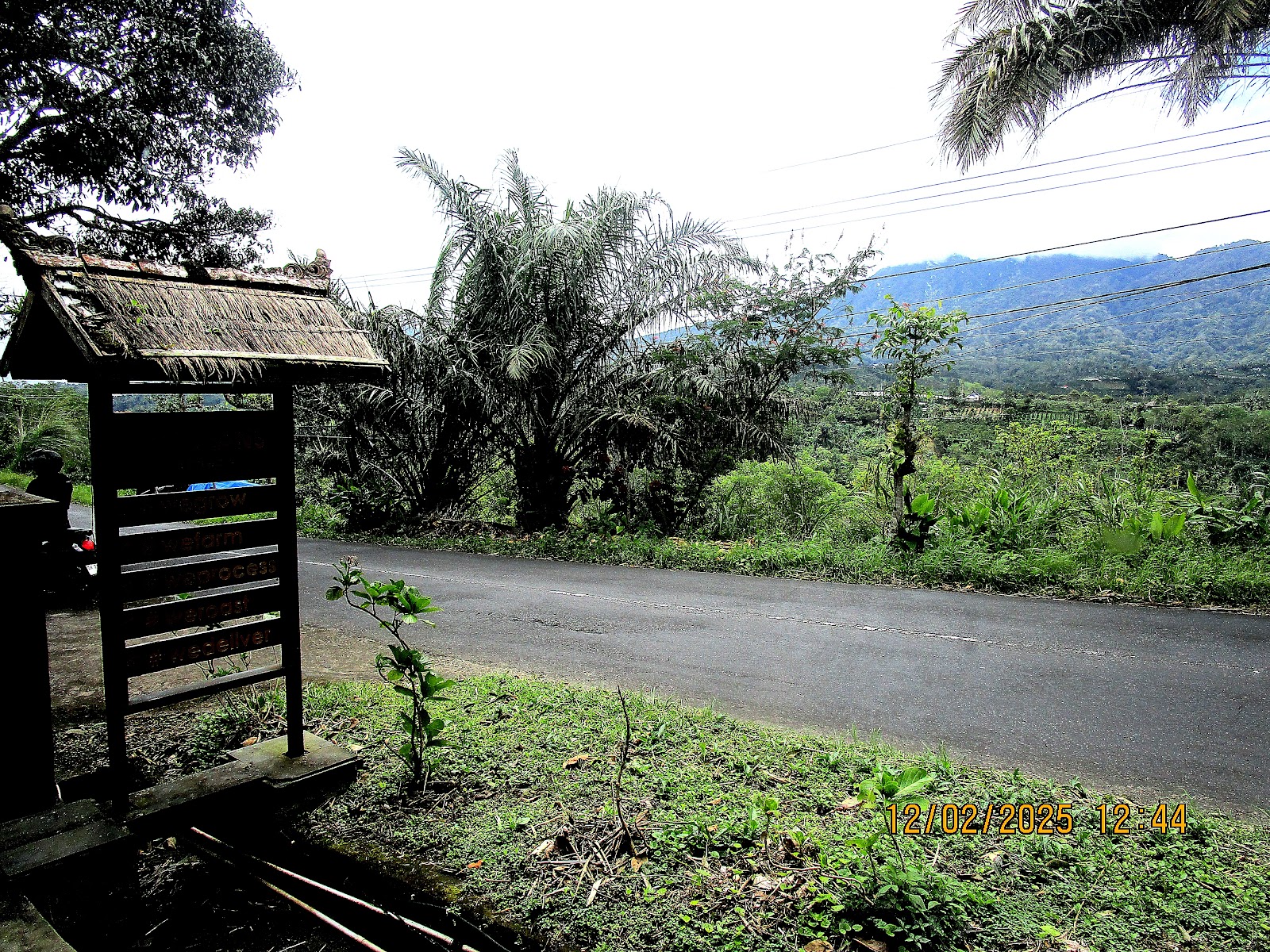 Bali Beans Plantation