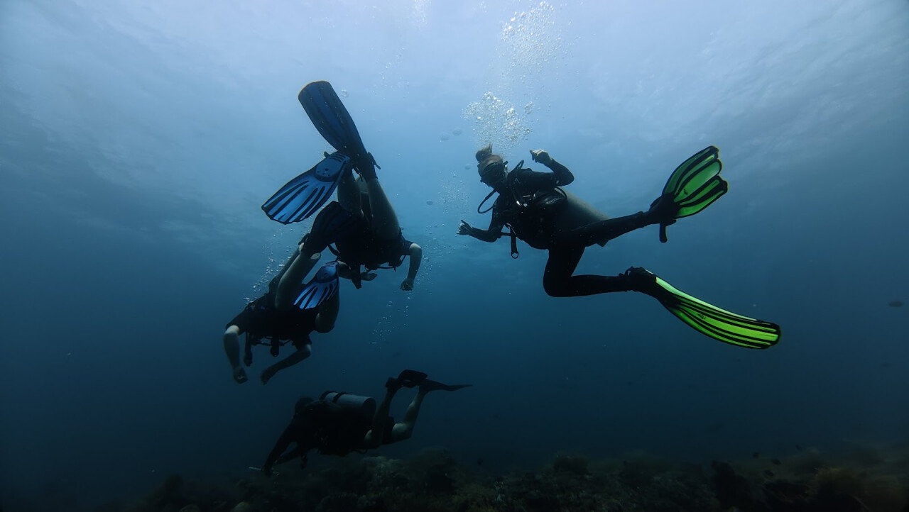 Fresh Fins Diving