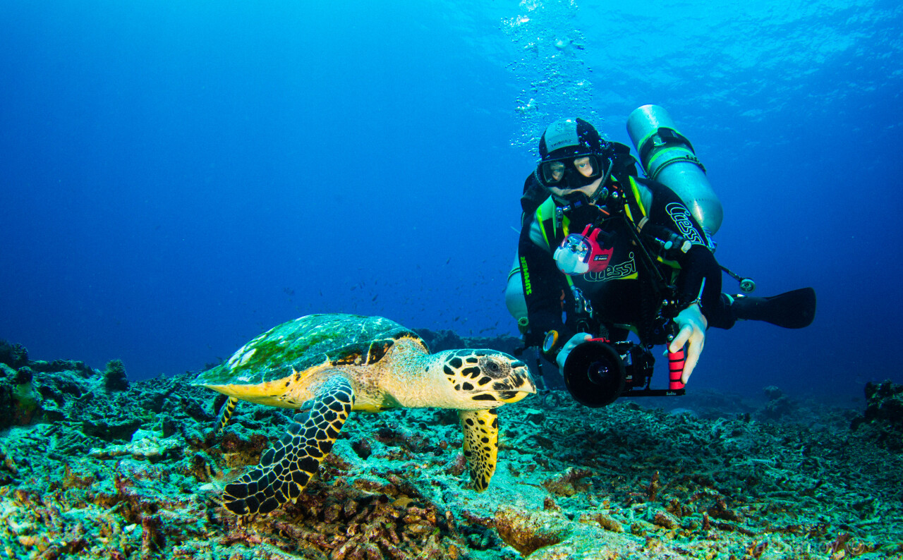 Дайвинг на Бали для начинающих с русскоговорящим инструктором