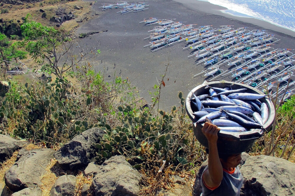 Деревня Серая Тимур стала первой «Рыбацкой деревней Merah Putih» на Бали