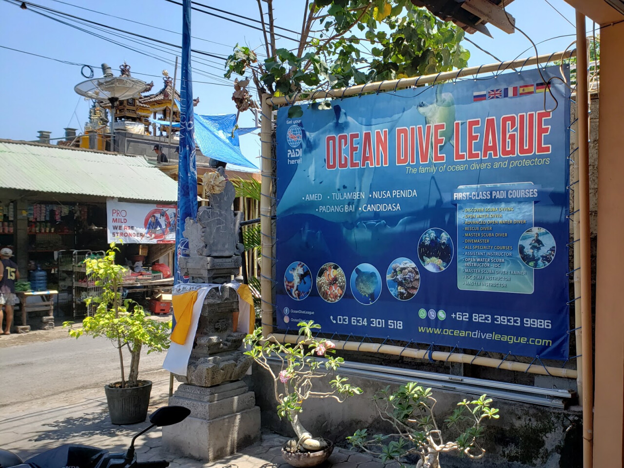 Ocean Dive League