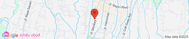 Lucky 8 Roast Pork Noodle Ubud bakmi babi