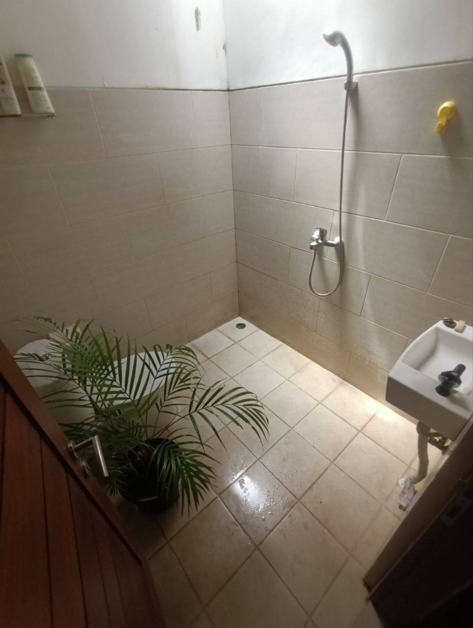 Гестхаус уютный Чангу