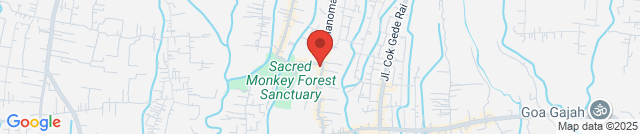 The Evitel Resort Ubud