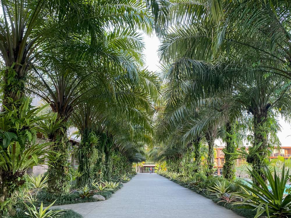 Апартаменты стильные Убуд 80м²