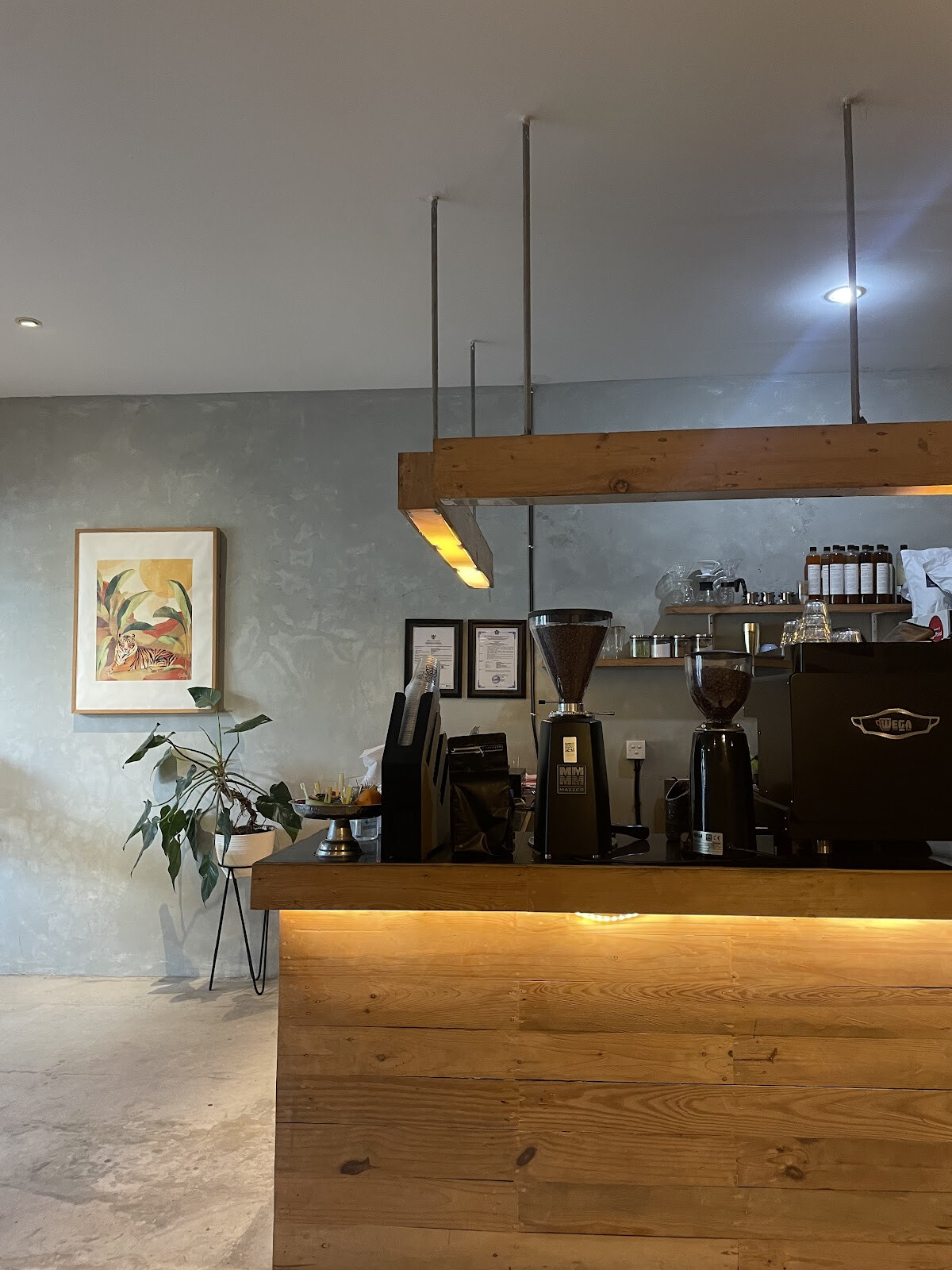 Coffee Phora