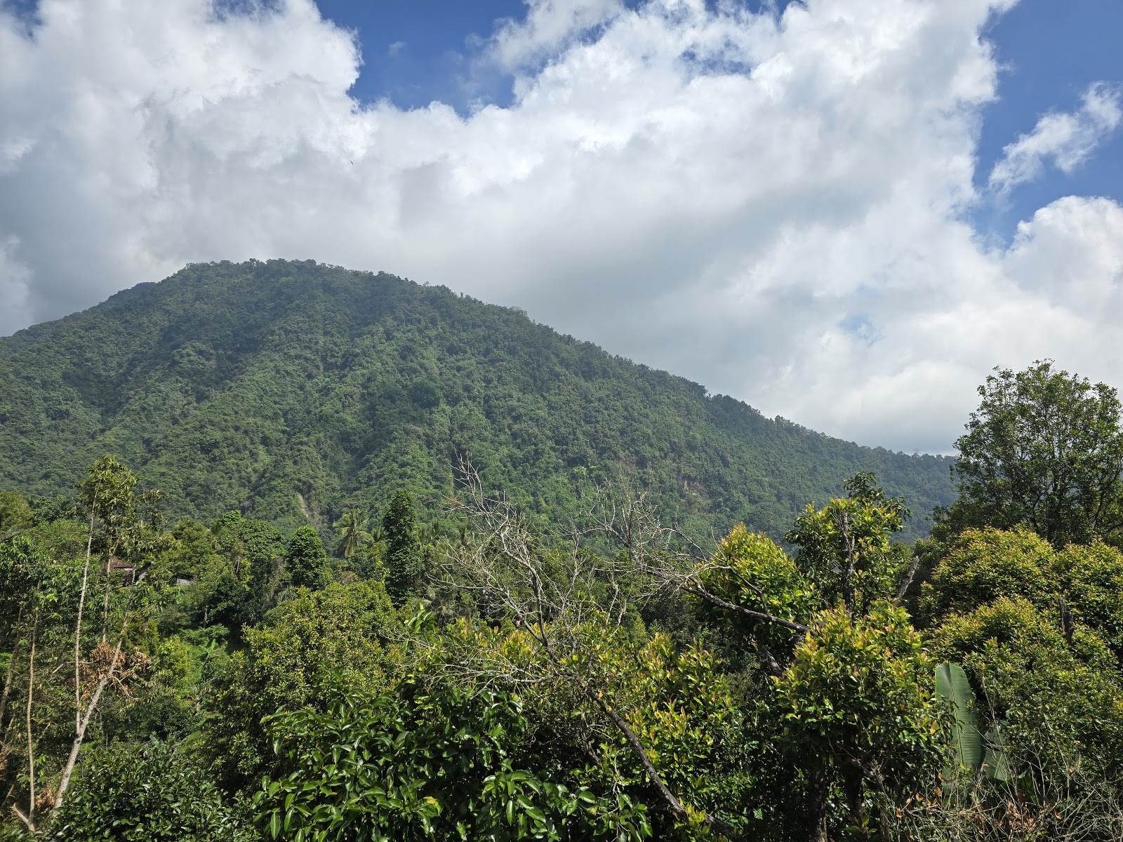 SPICE WARUNG&RESTAURANT