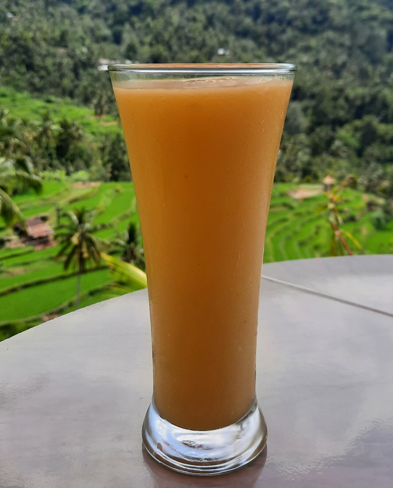 Warung Fiji. Terrace Rice View