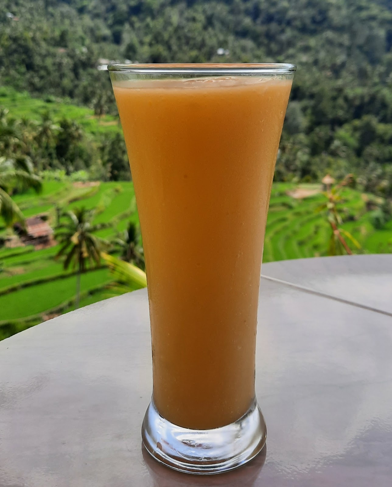 Warung Fiji. Terrace Rice View