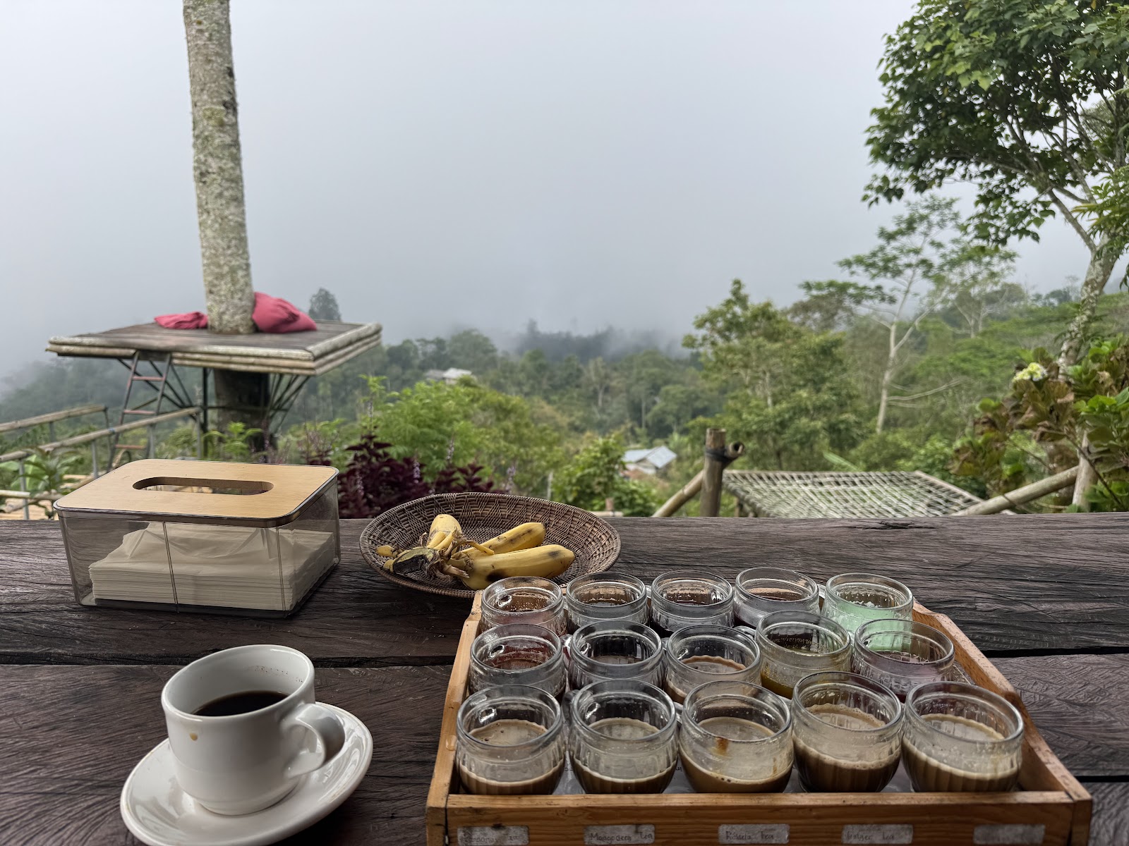 Bedugul luwak coffee & coffee plantation