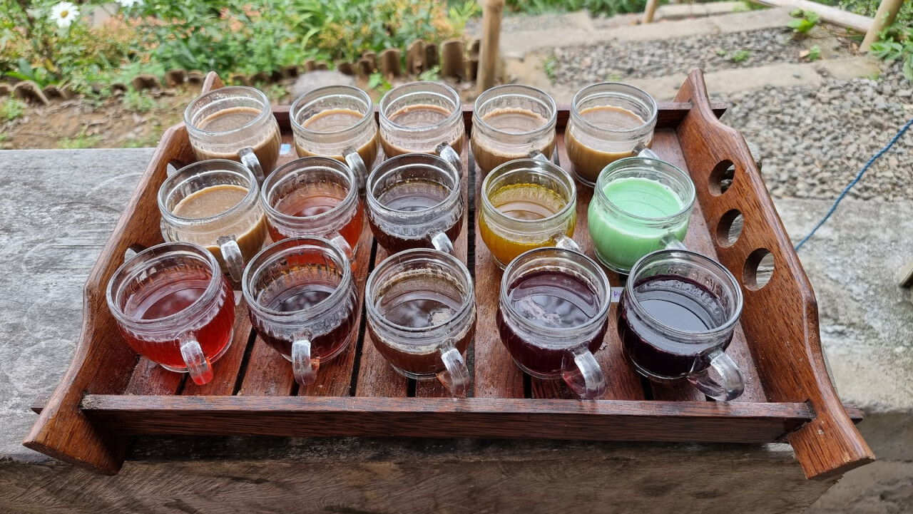 Bedugul luwak coffee & coffee plantation