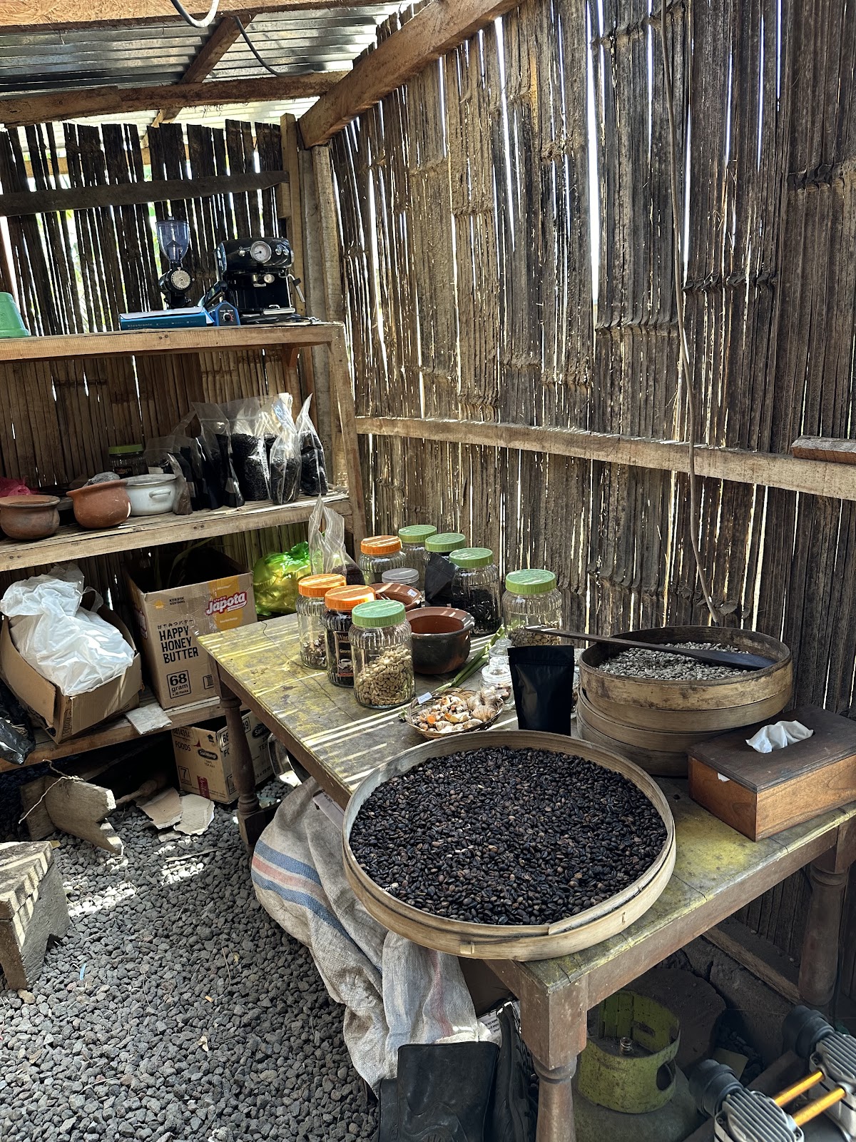 Bedugul luwak coffee & coffee plantation