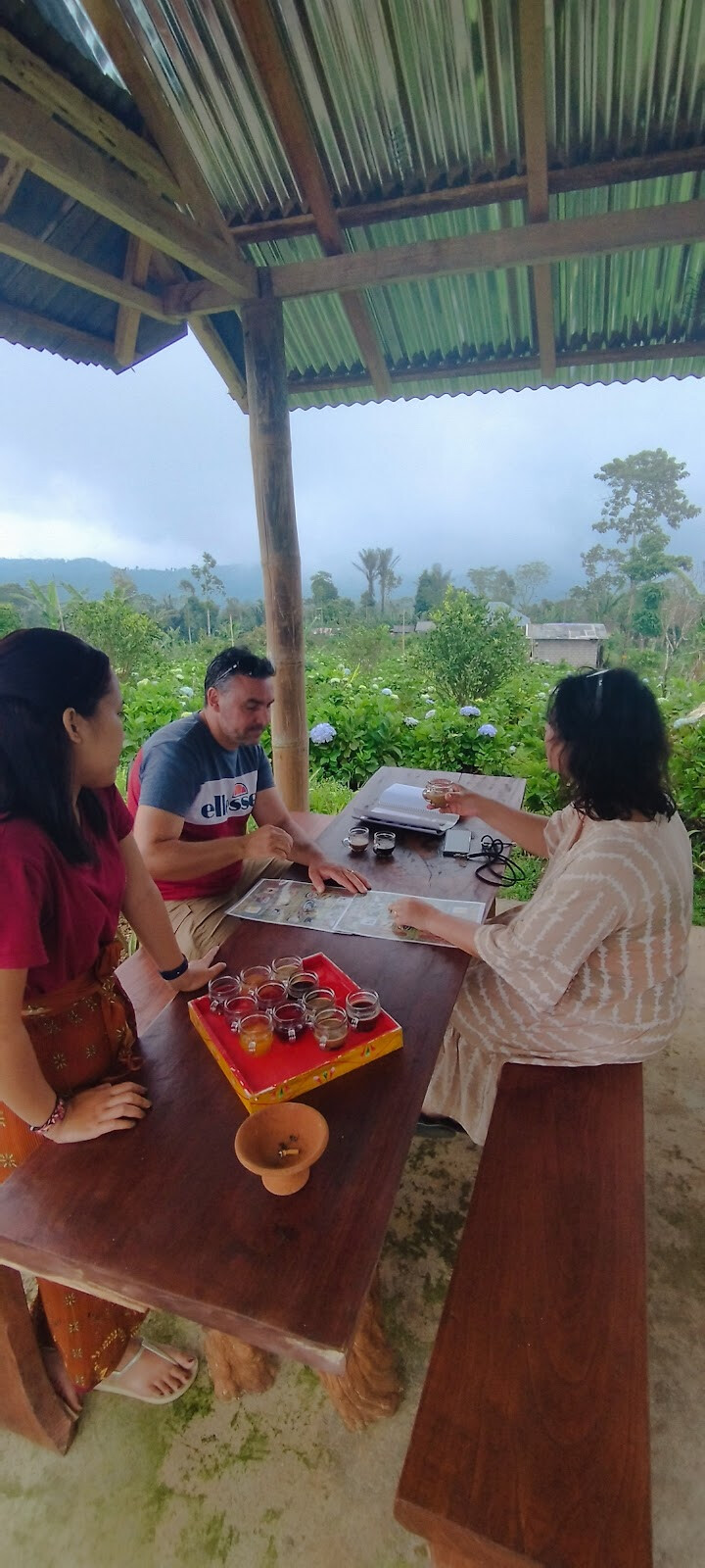 luwak coffee and tea