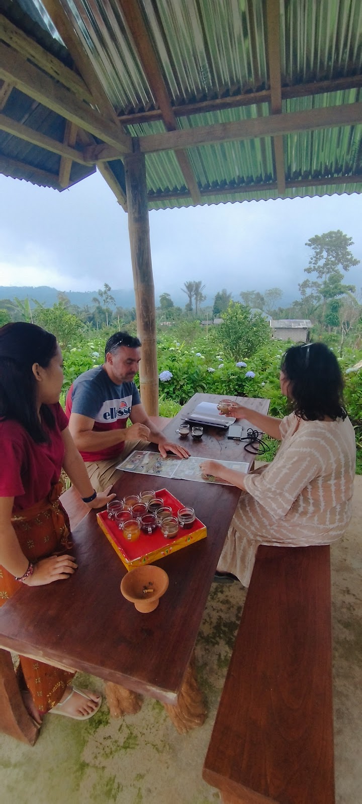 luwak coffee and tea