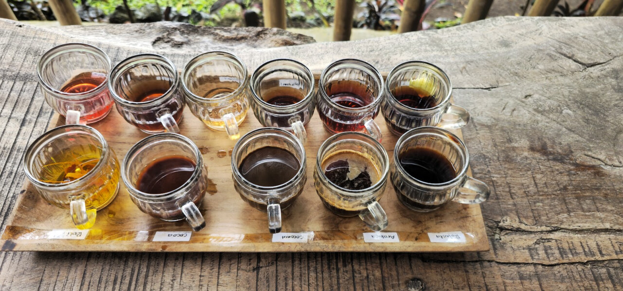 Kubu kopi