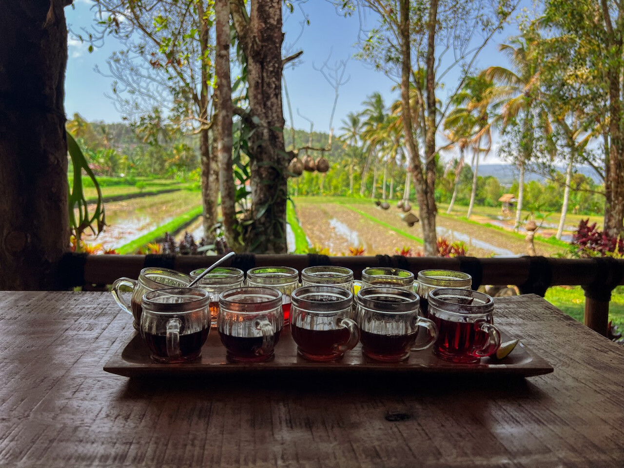 Kubu kopi