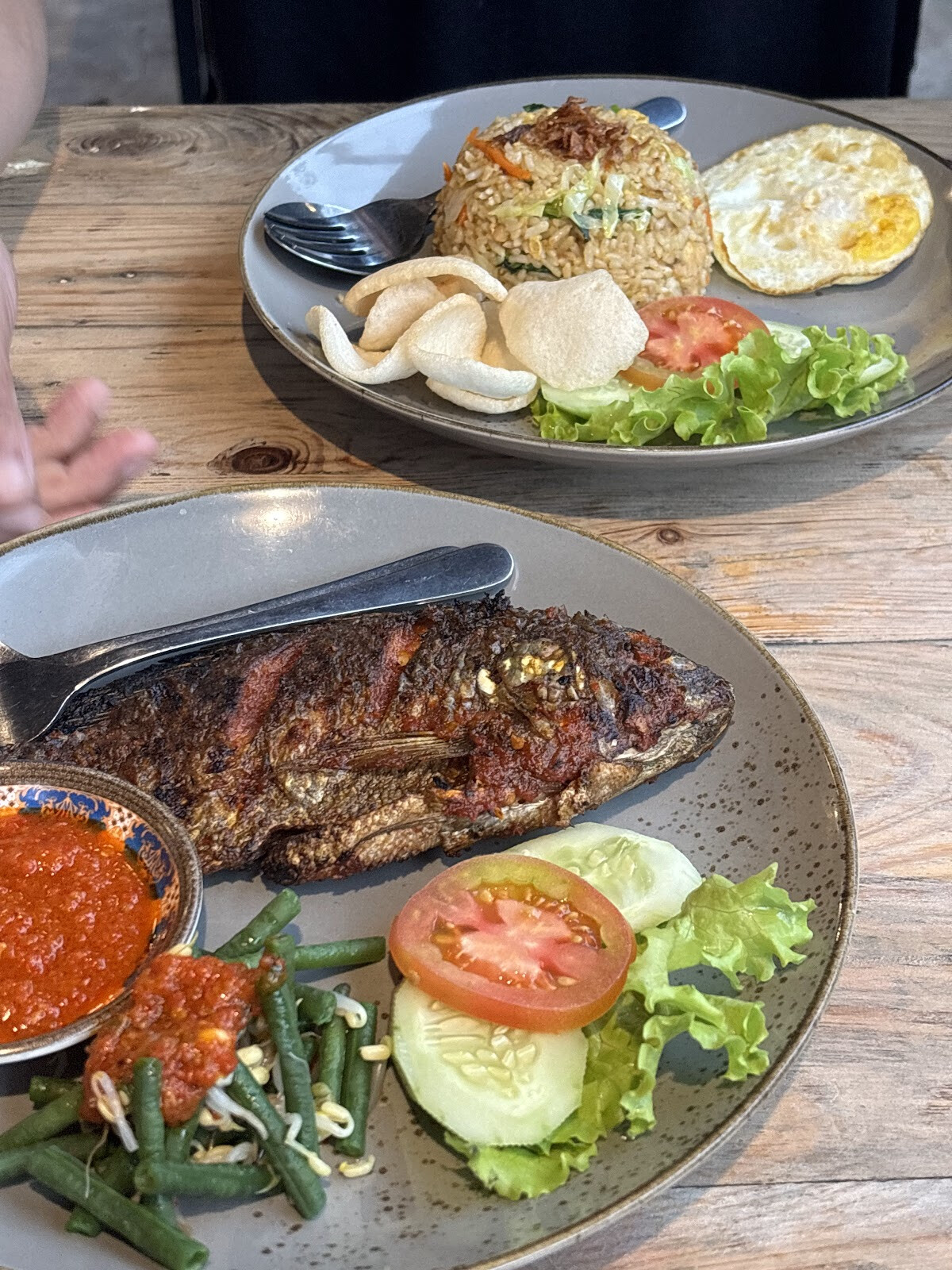 KODOK WARUNG