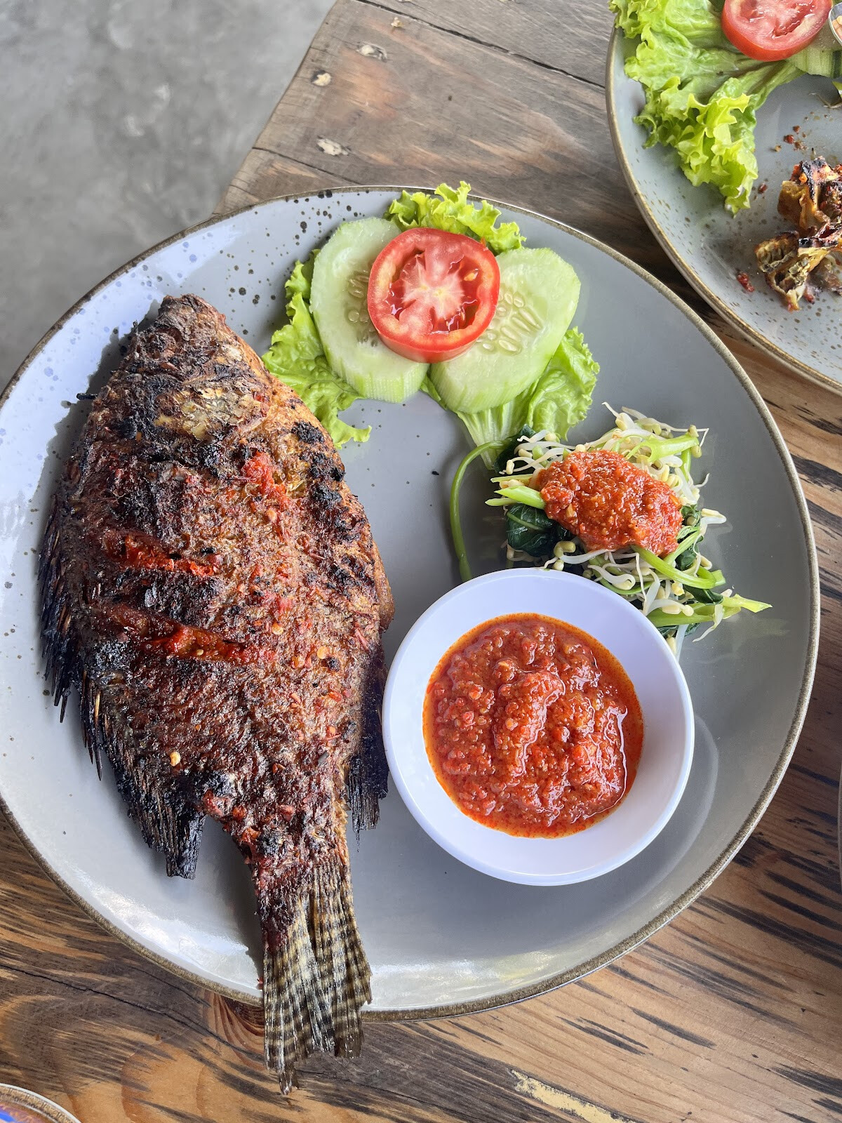 KODOK WARUNG