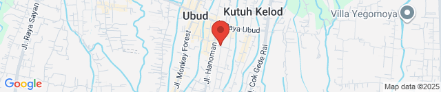 Wild Vegan, Vegan and Vegetarian Organic Restaurant