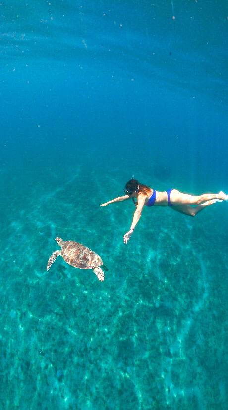 Turtle Conservation Community Nipah Beach