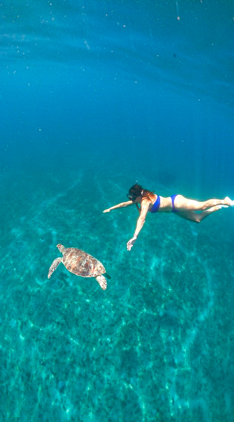 Turtle Conservation Community Nipah Beach