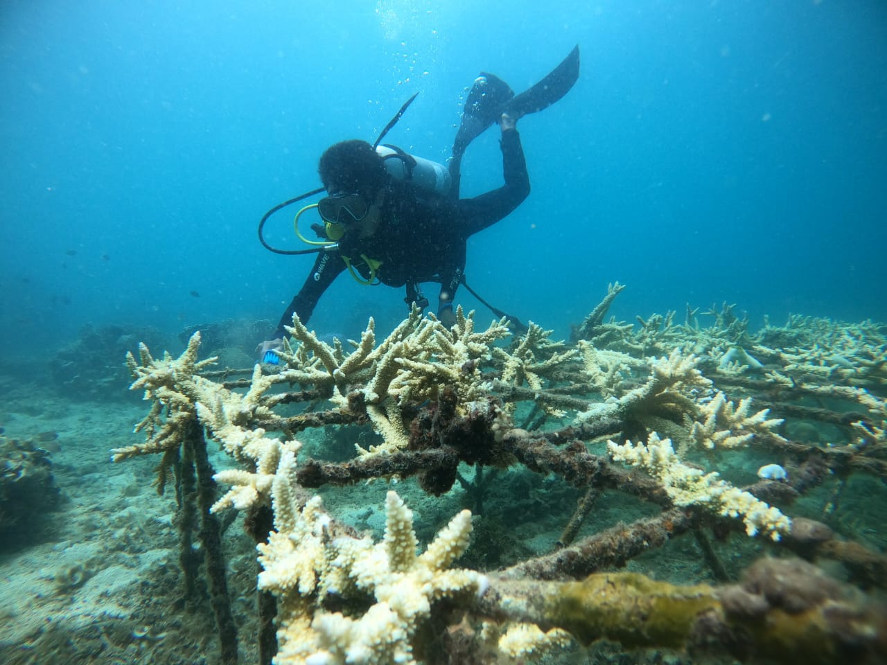 Turtle Conservation Community Nipah Beach