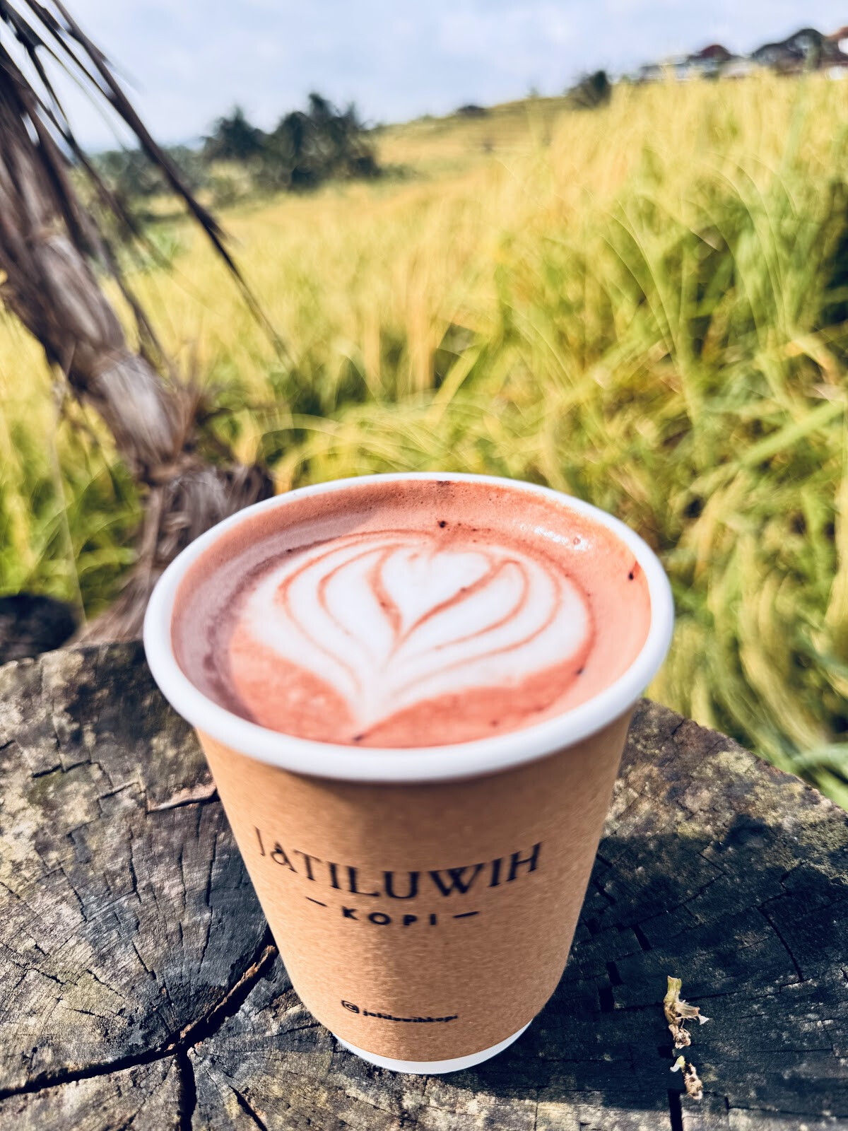 Jatiluwih kopi
