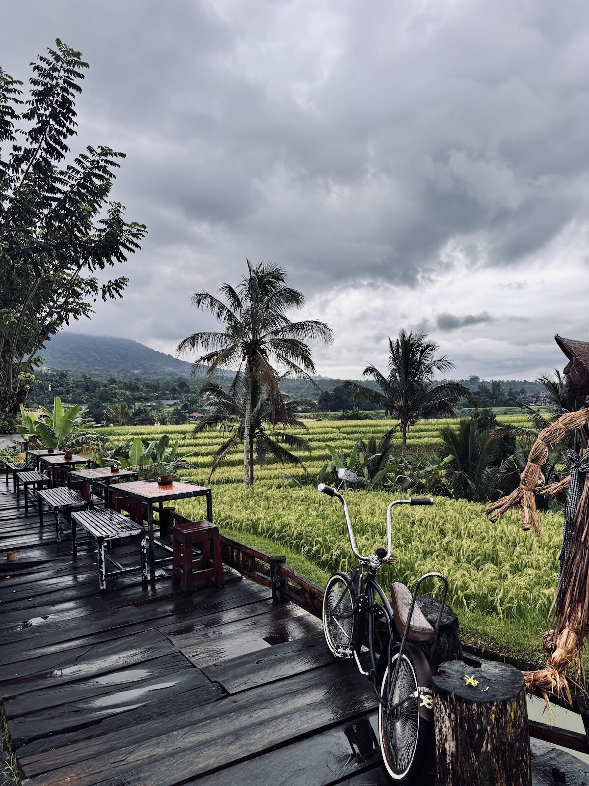 Jatiluwih kopi