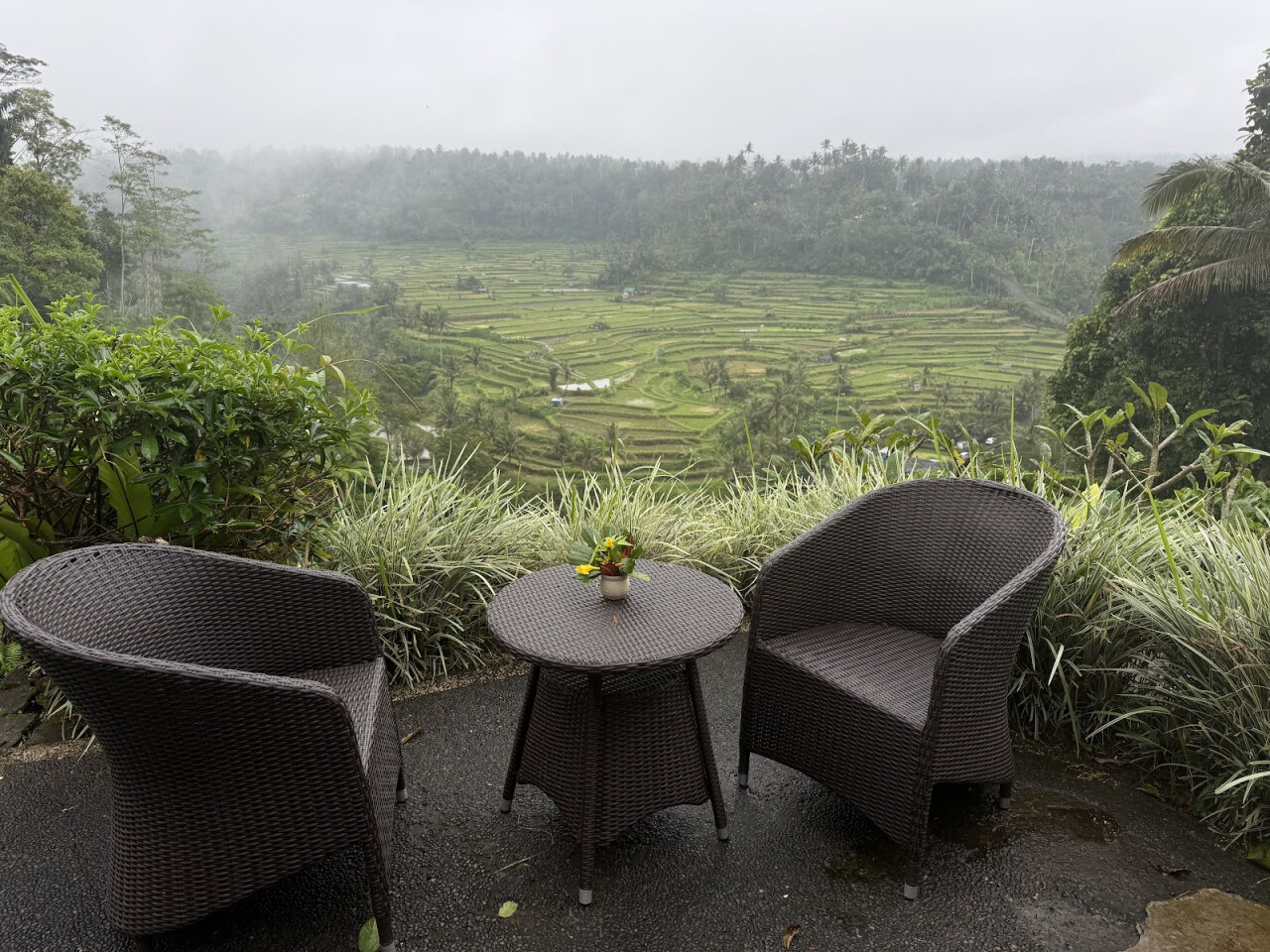 La Montagne Coffee