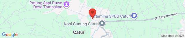 Kopi Catur Arabika Kintamani