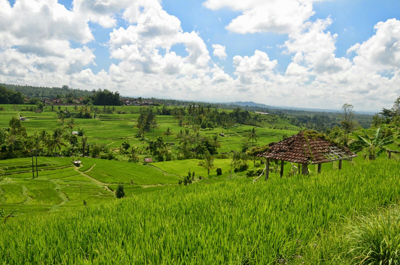 Warung Makan Manalagi