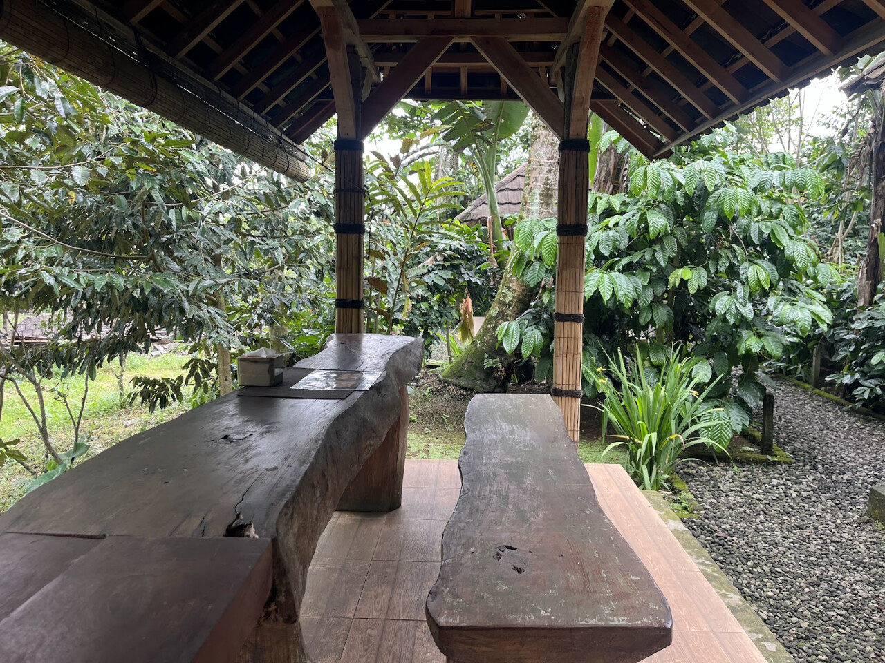 Jati Wangi Luwak Coffee