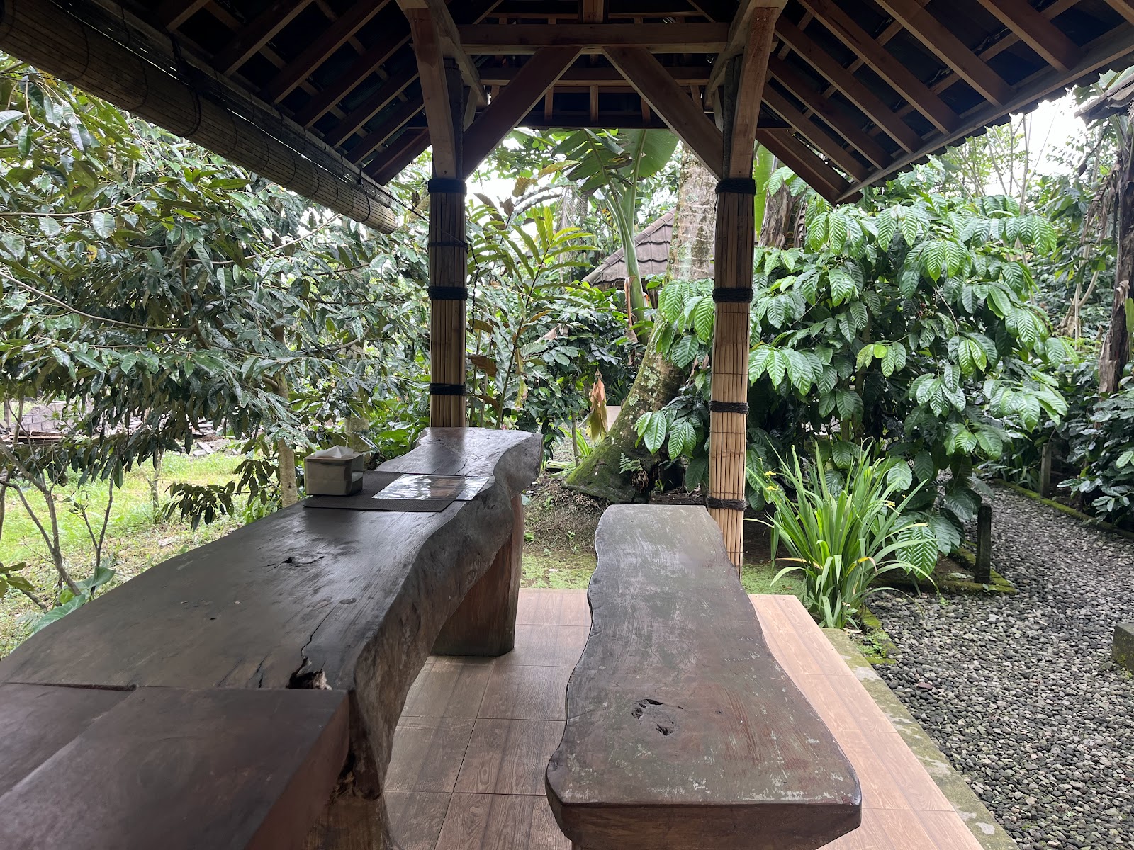 Jati Wangi Luwak Coffee