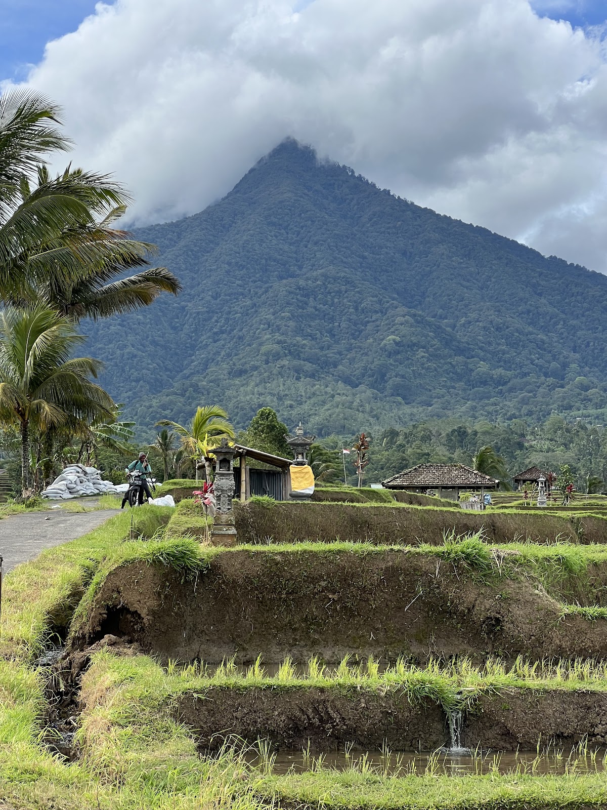 Centre Point Jatiluwih