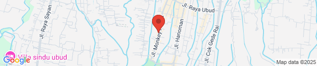 Starbucks Monkey Forest