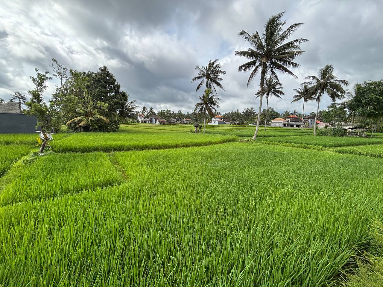 Вилла уютная Убуд 1 спальня