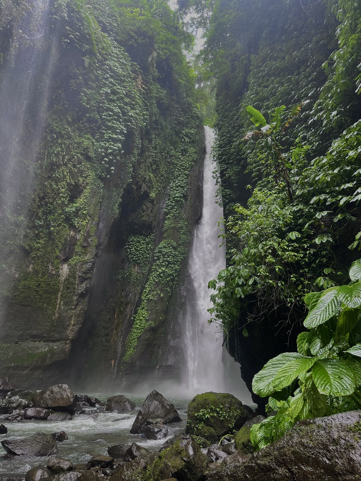 Sekumpul