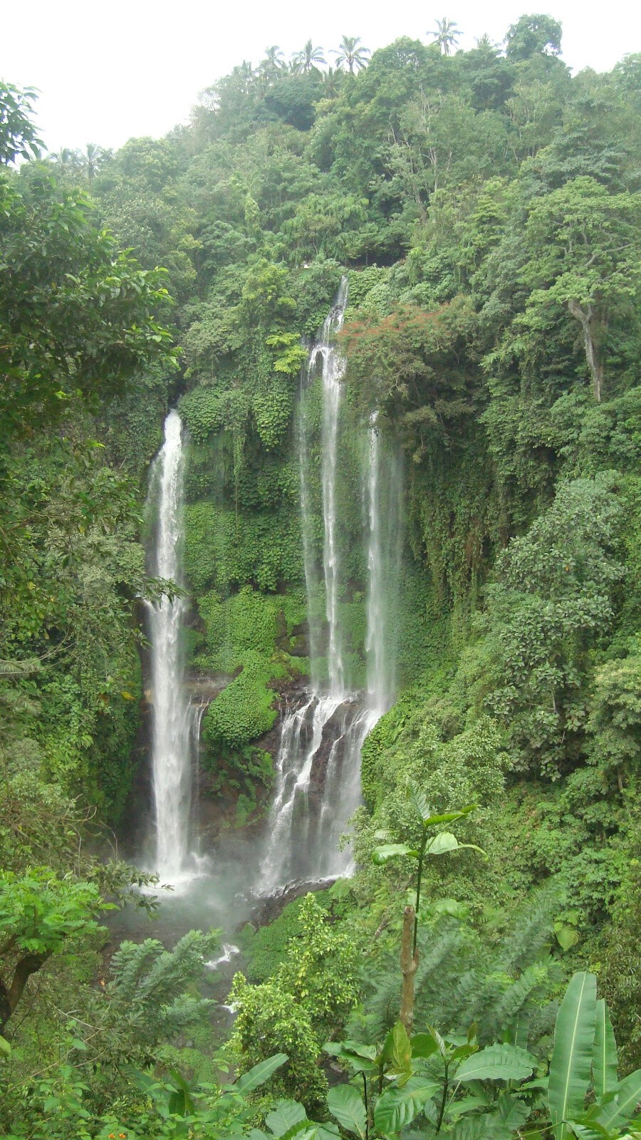 Sekumpul