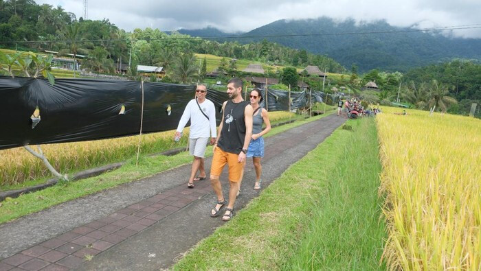 Джатилувих: власти опечатали рестораны, фермеры в ответ закрыли вид на поля